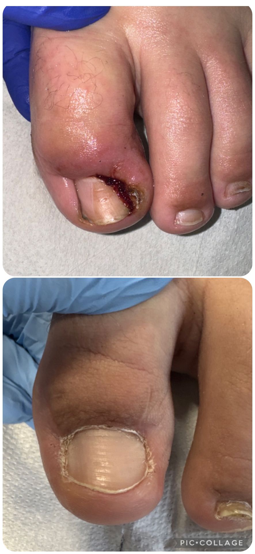 Dagmara  Mielcarek-Raubo-3