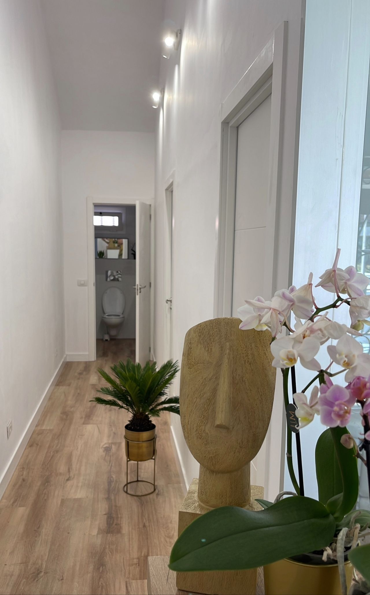 Ermidelia Candelaria Martin Lorenzo-7