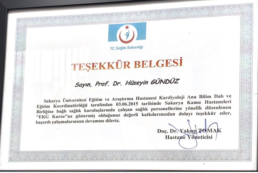 Hüseyin Gündüz-3