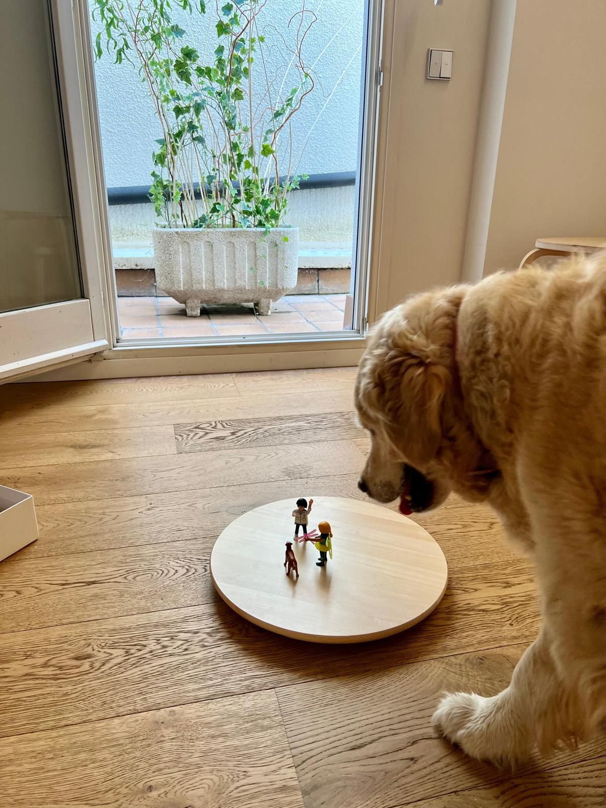 Eva Fontseca Pineda-3