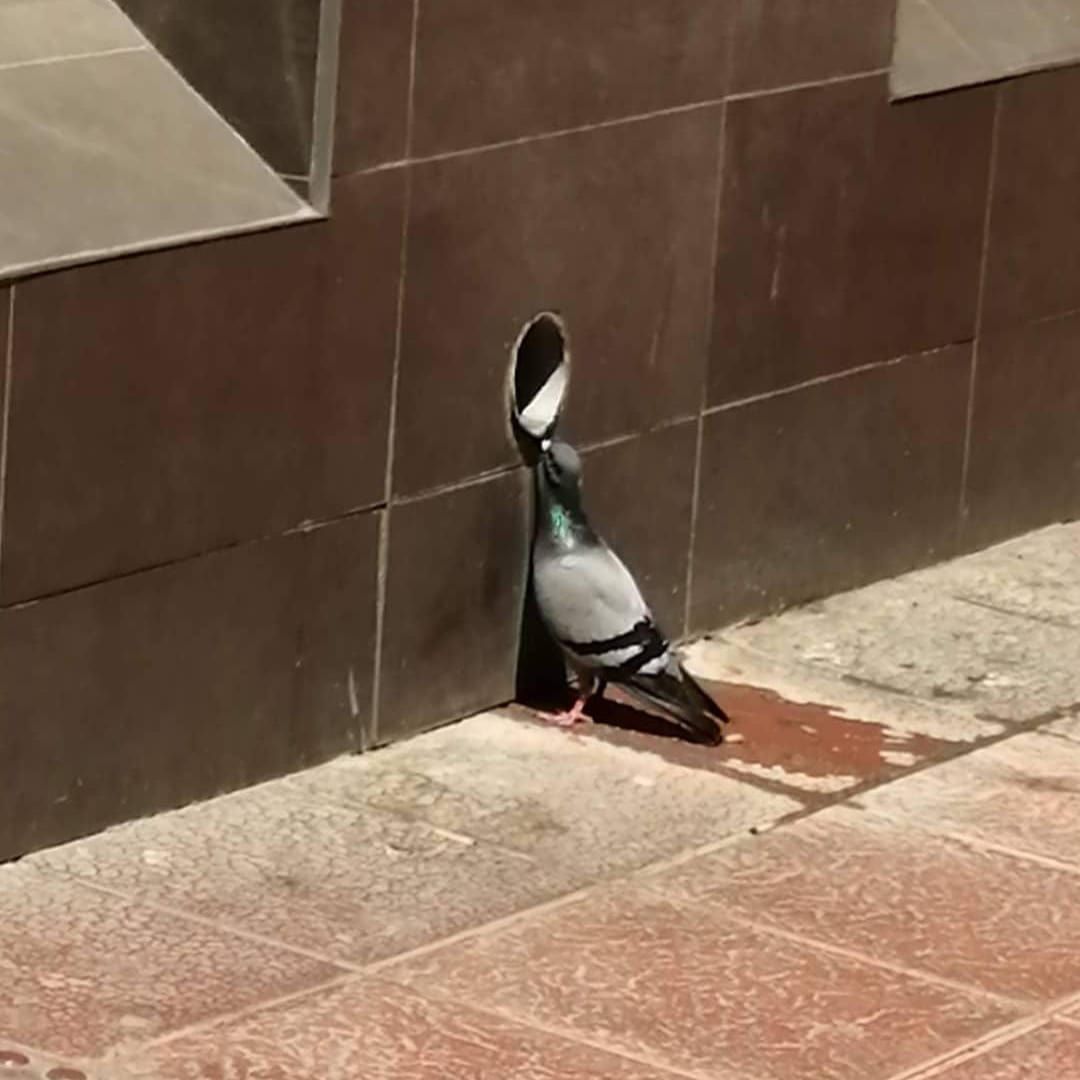 Mari Carmen González García-3