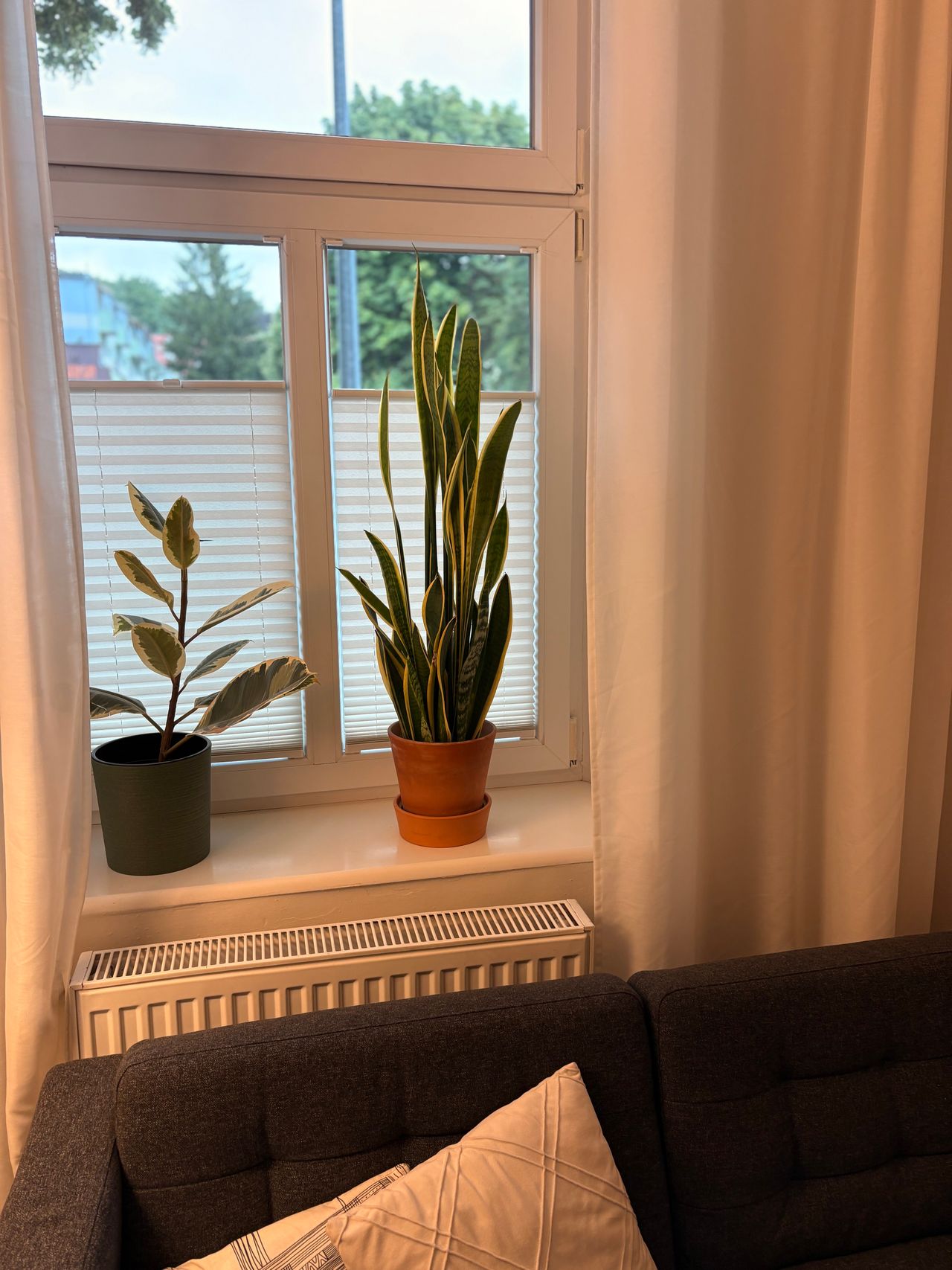 Katarzyna Burghard-2