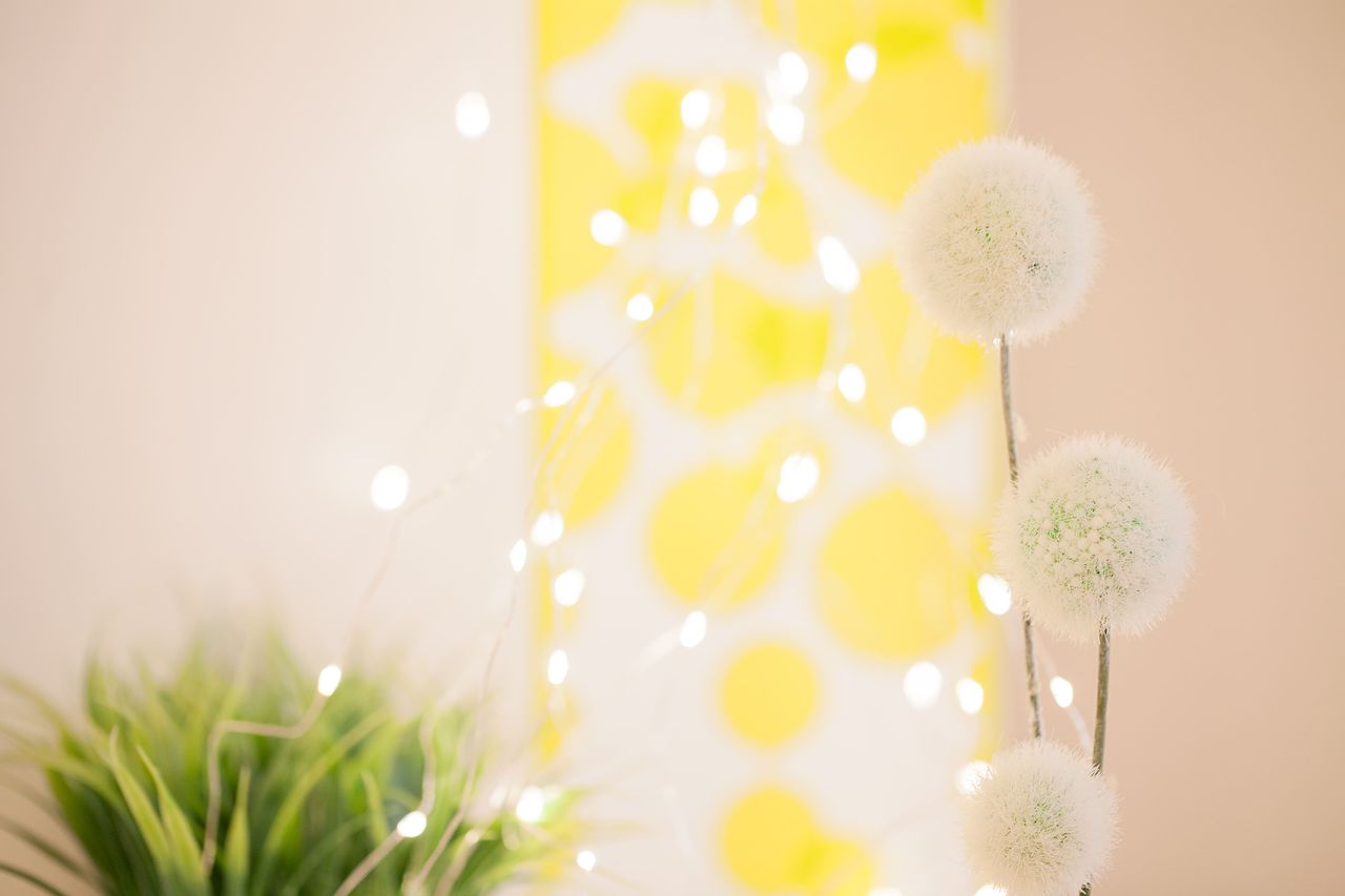 Simone Bodenhausen-1