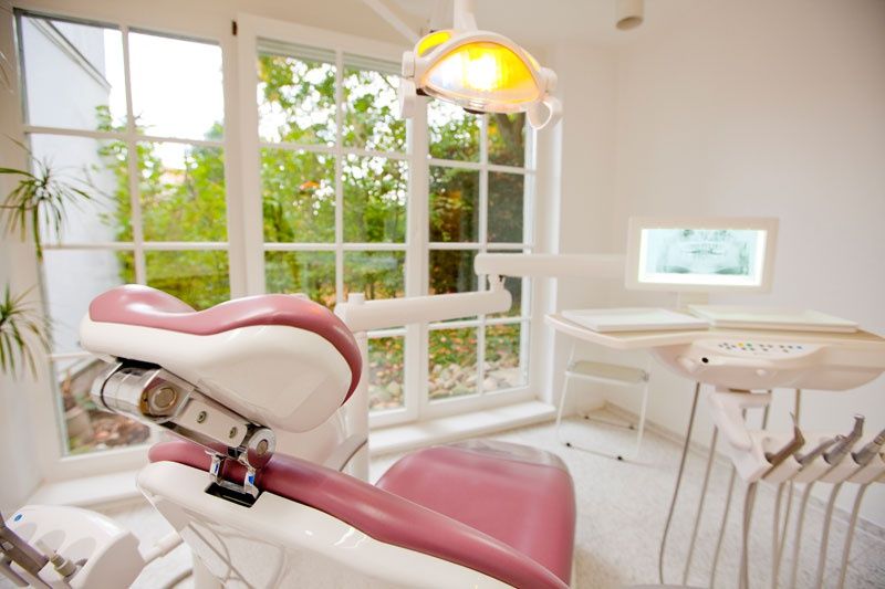 Stephania Mohrbutter-10