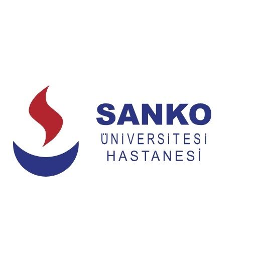 Lütfiye Şimşek-0
