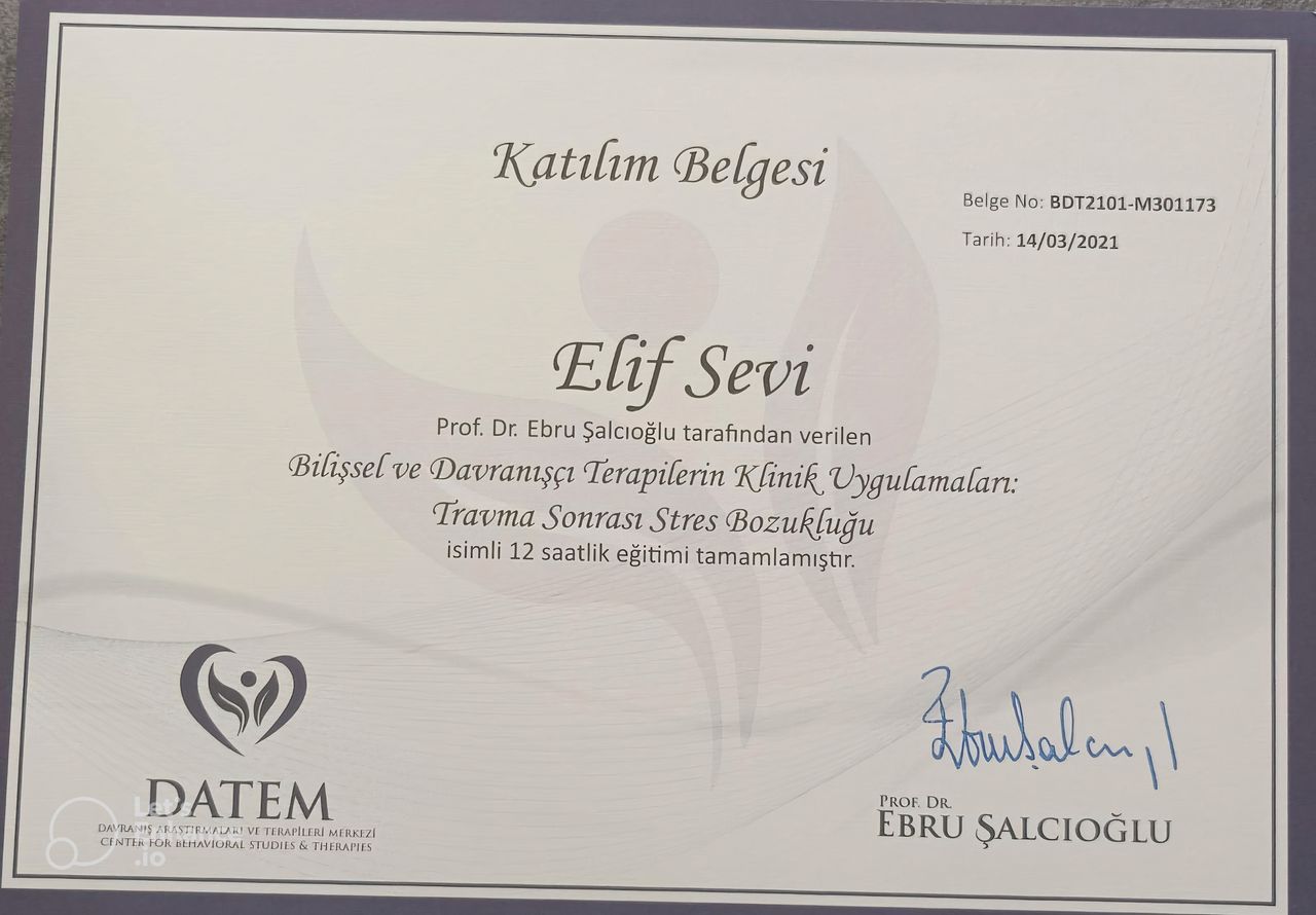 Elif Sevi Adıgüzel-12