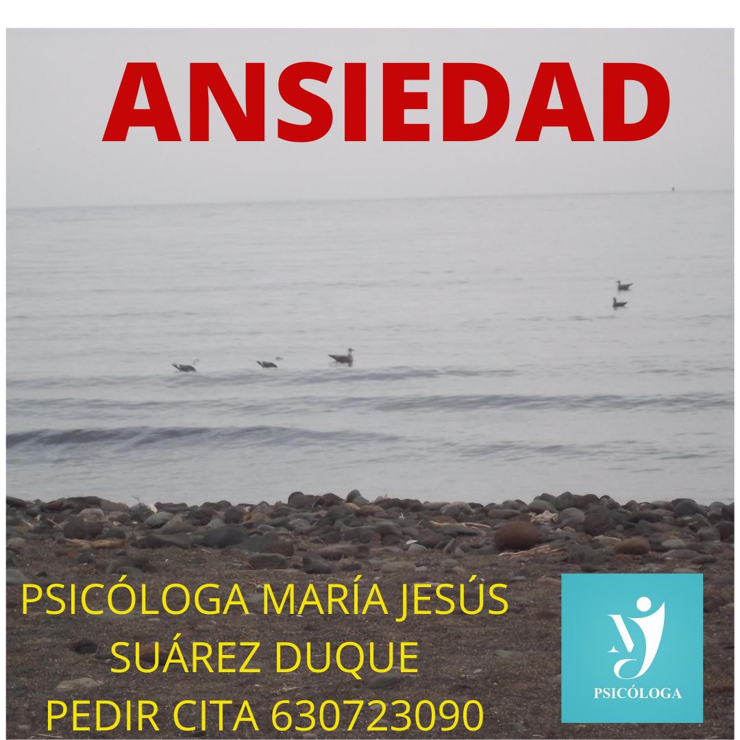 María Jesús Suárez Duque-80