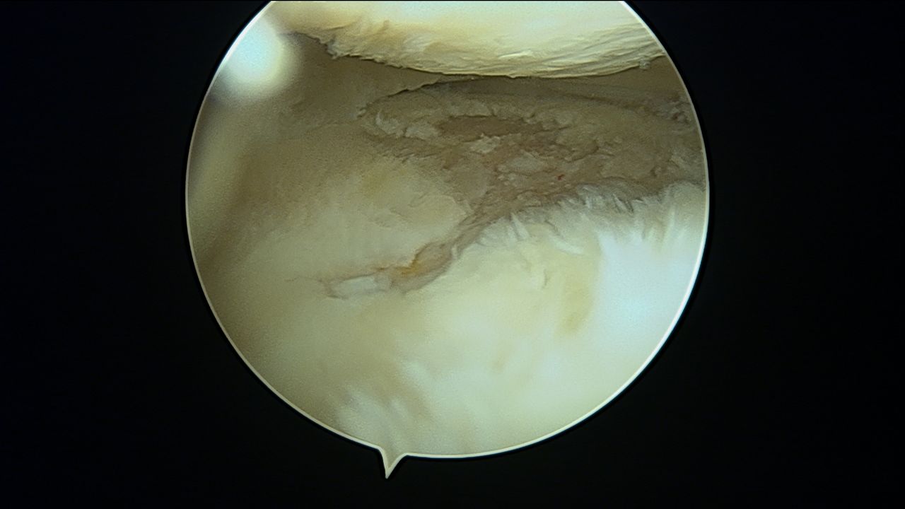 Eulogio Benito Martín-18