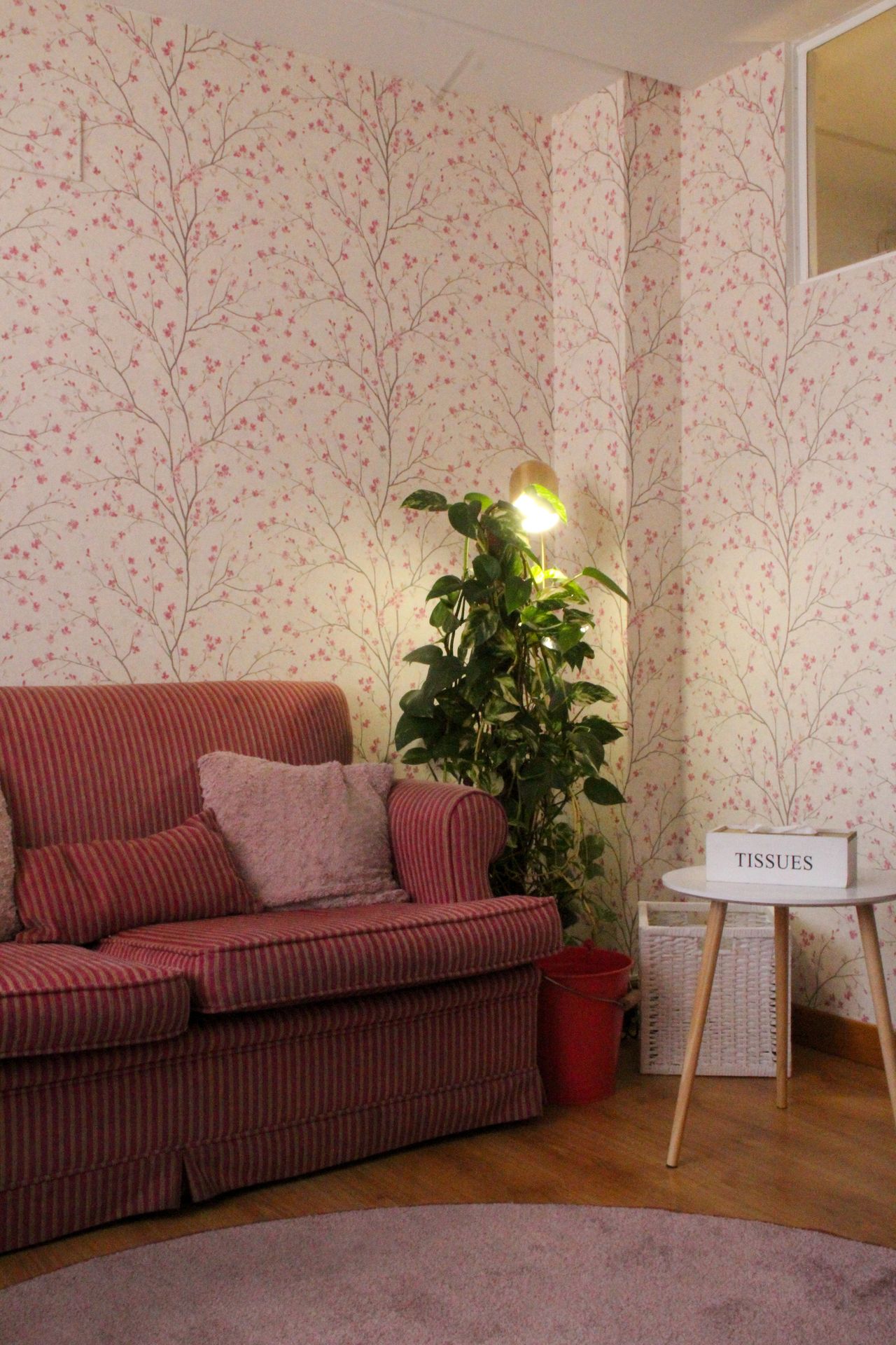 Carolina Aparicio García-6