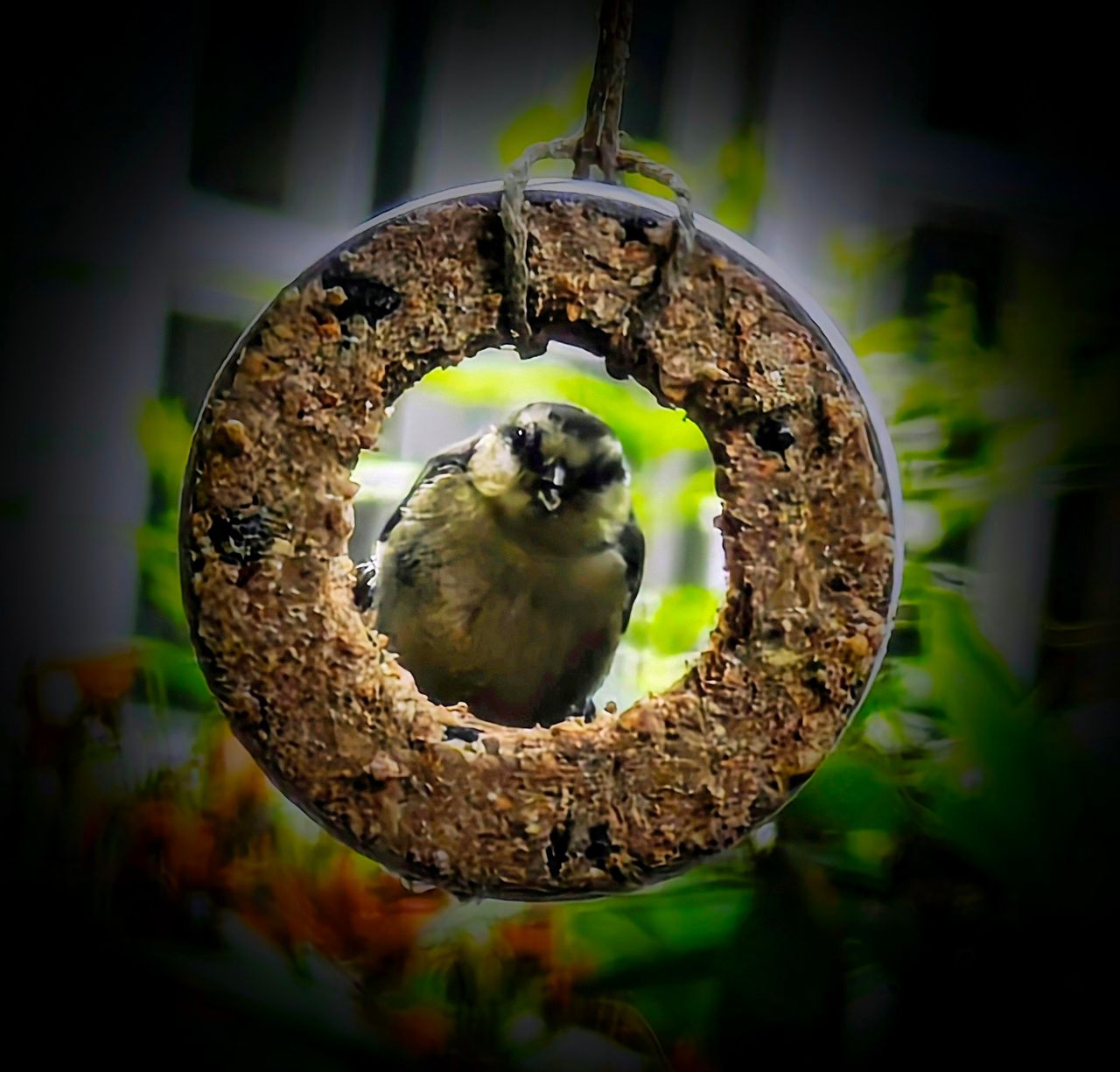 E. Libby Op Den Rhein-15