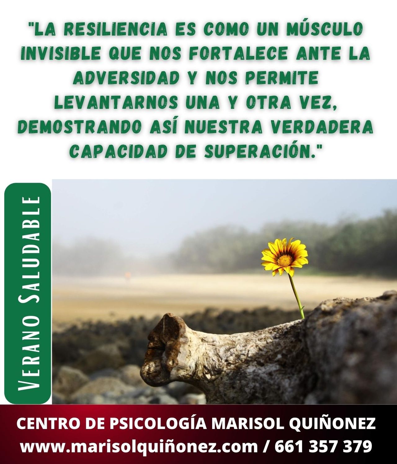 Marisol Quiñonez Quintero-9