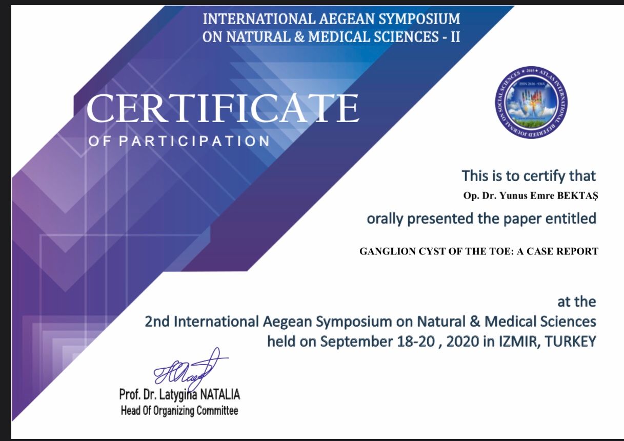 Yunus Emre Bektaş-16