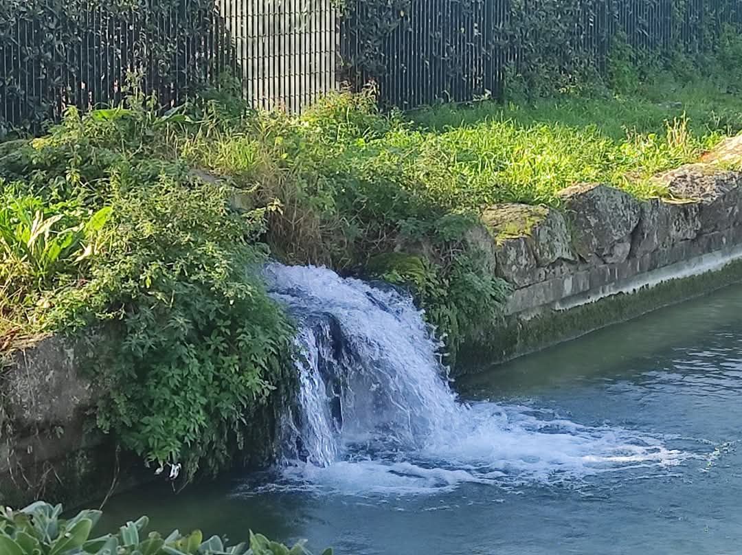 Michele Locuratolo-13