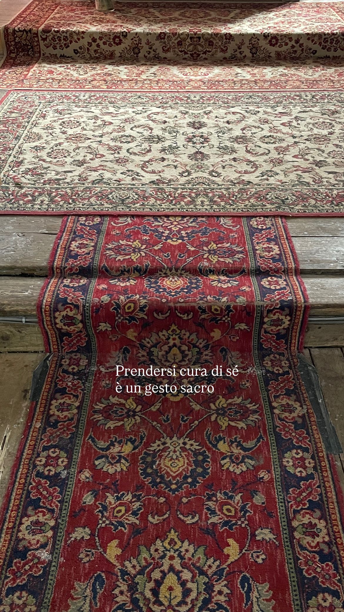 Stefania Tagliabue-9