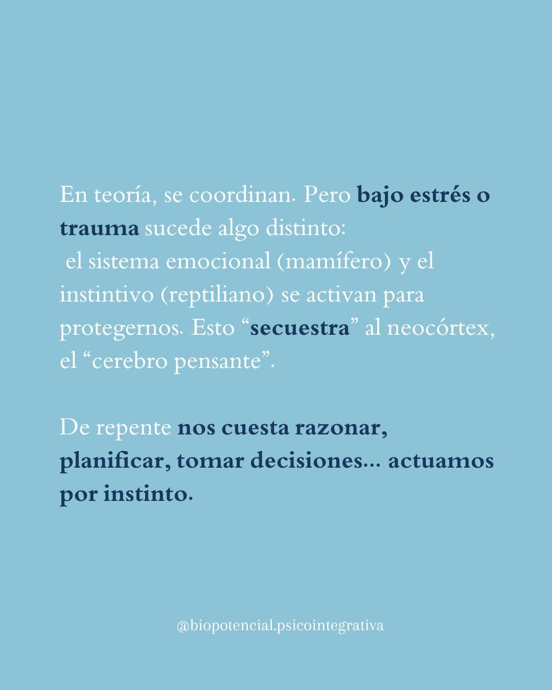 Natalia Ortega Ayllón-21