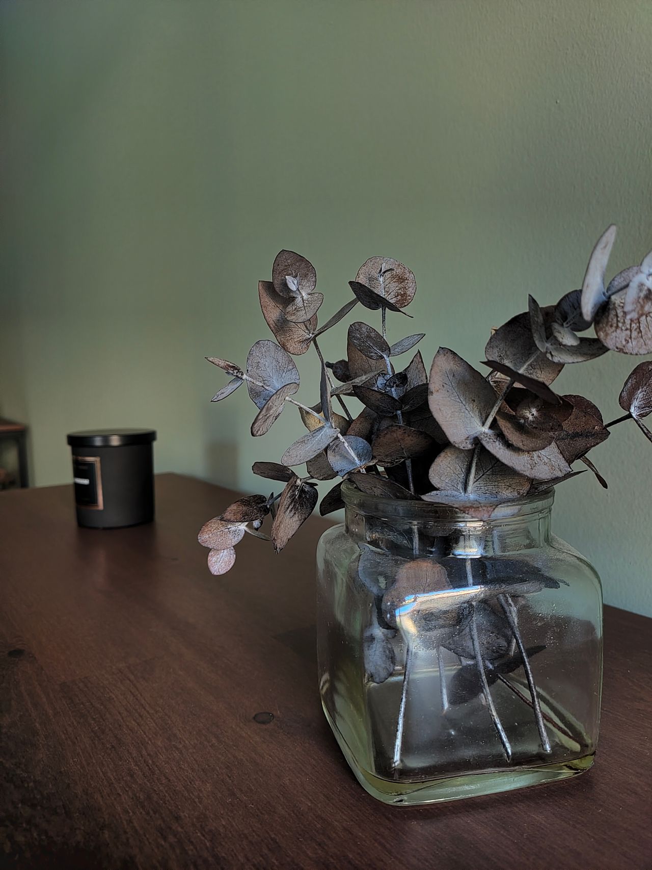 Ana Beatriz García Casas-4