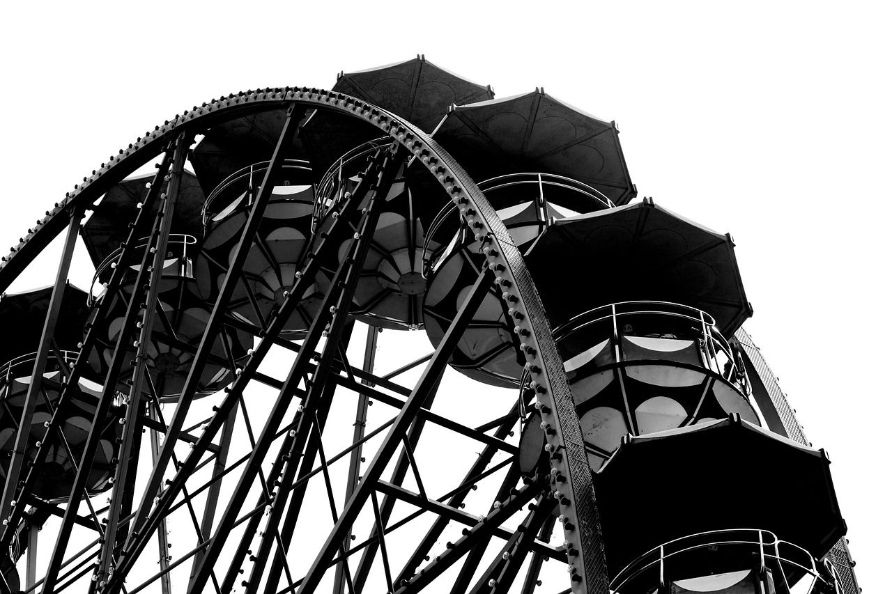 Claudia Muñoz Montes-4