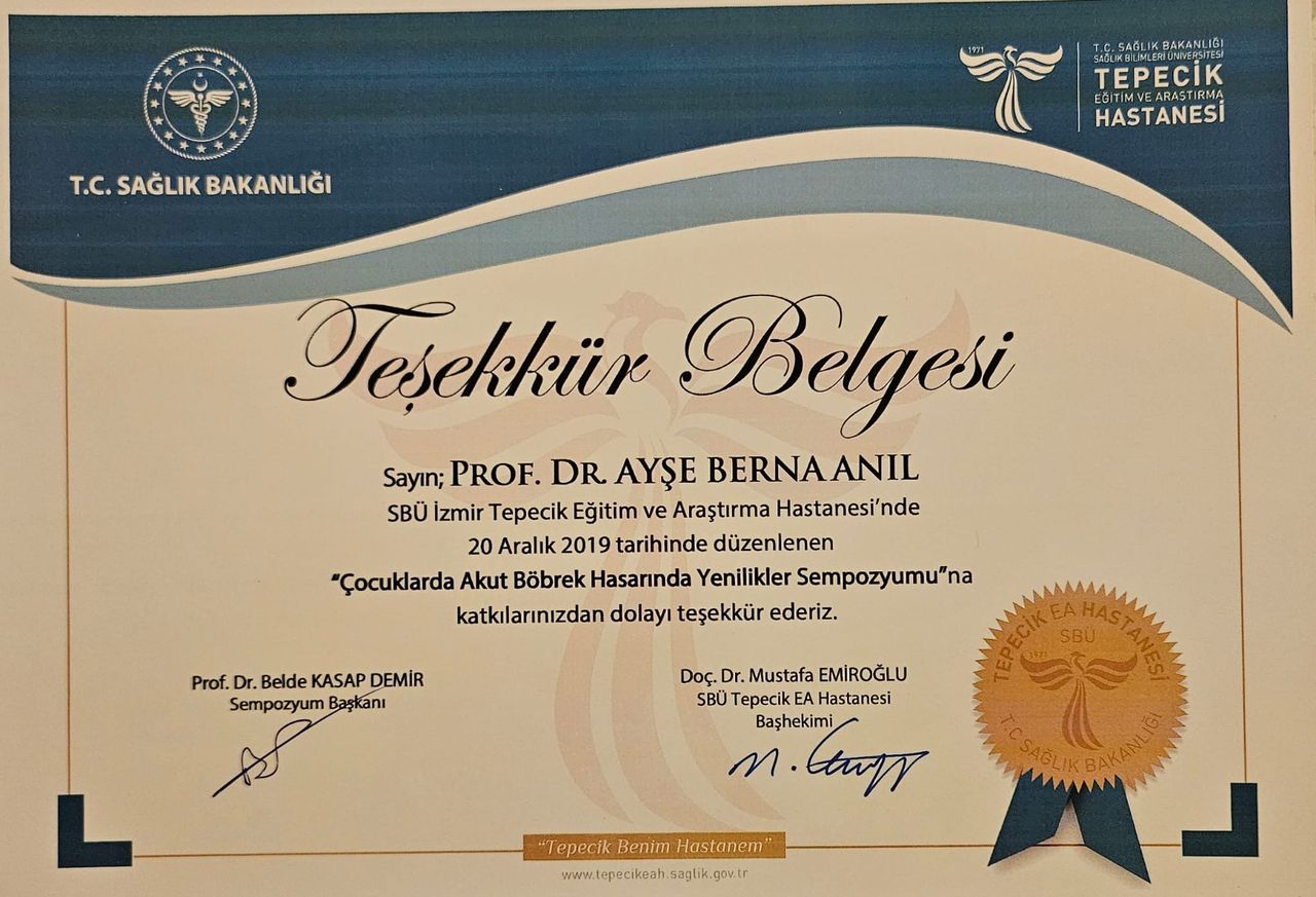 Ayşe Berna Anıl-25