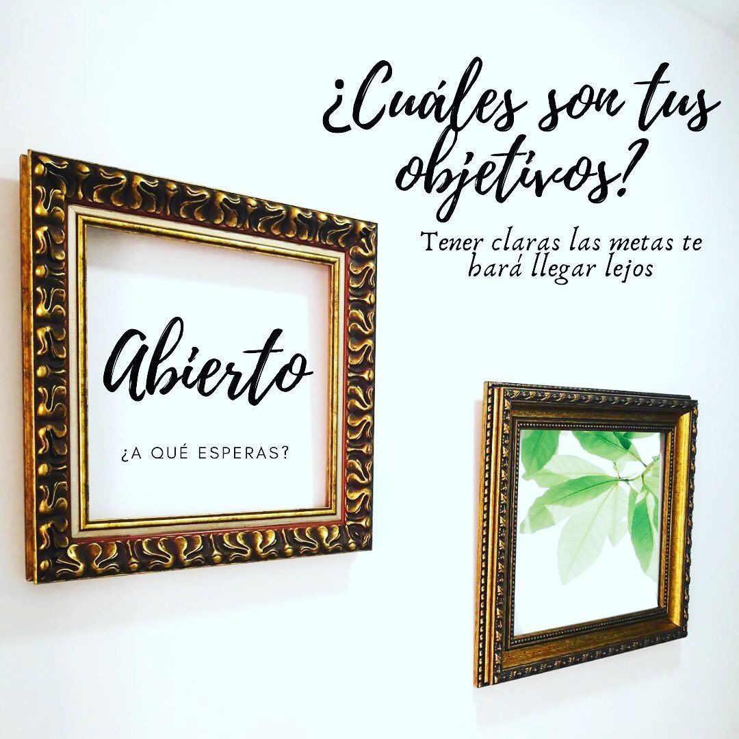 Alba Romero Alifa-42