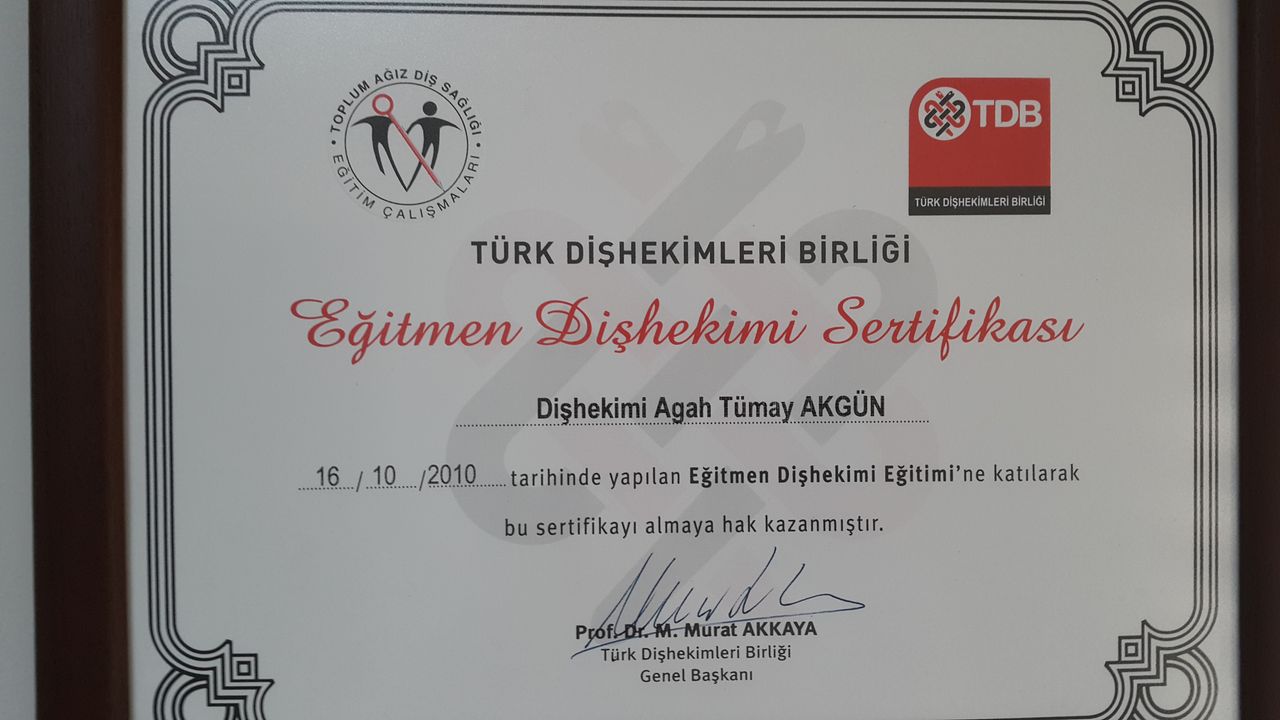 Agah Tümay Akgün-2