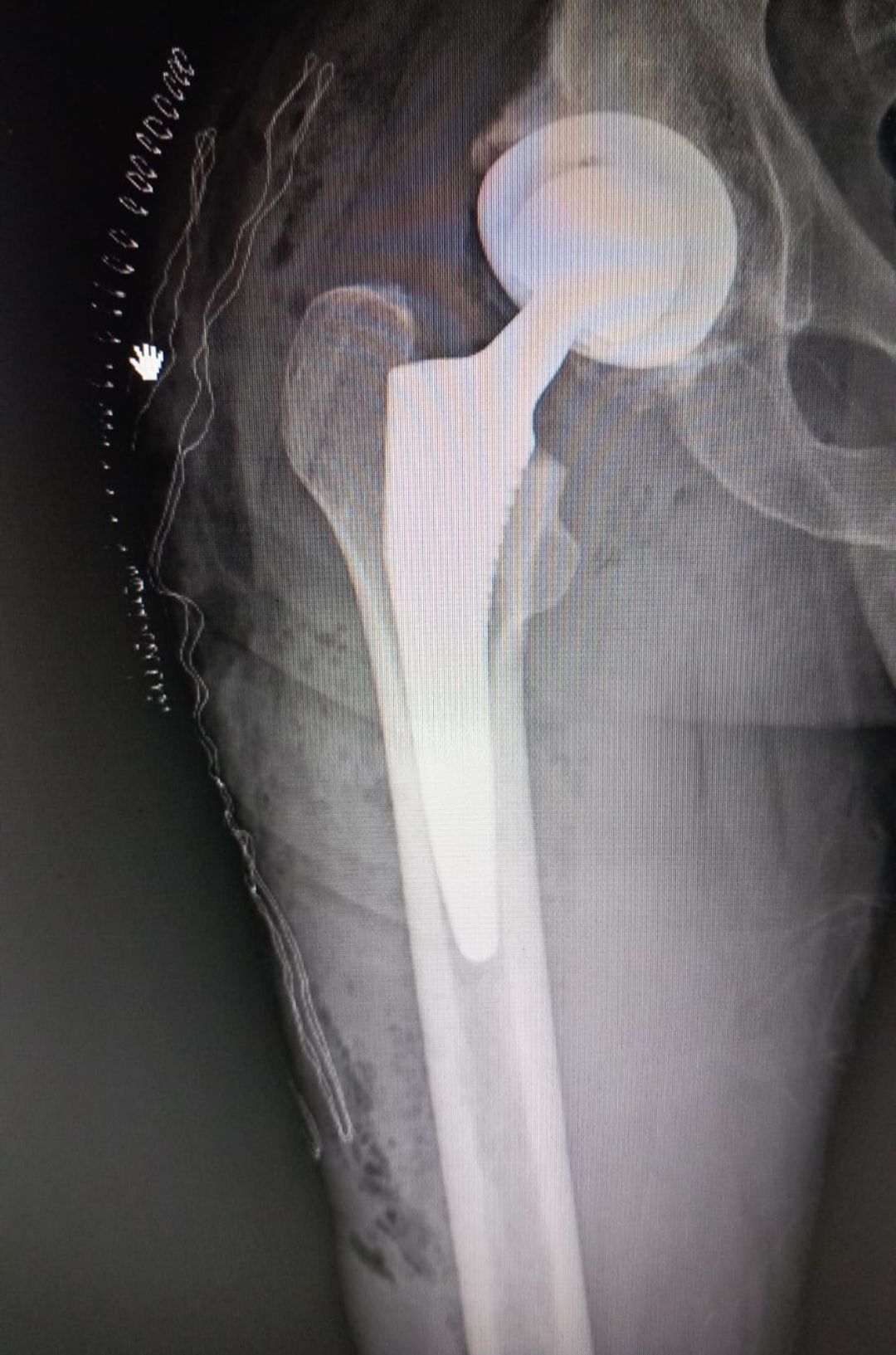 Alessandro Silvestro-4