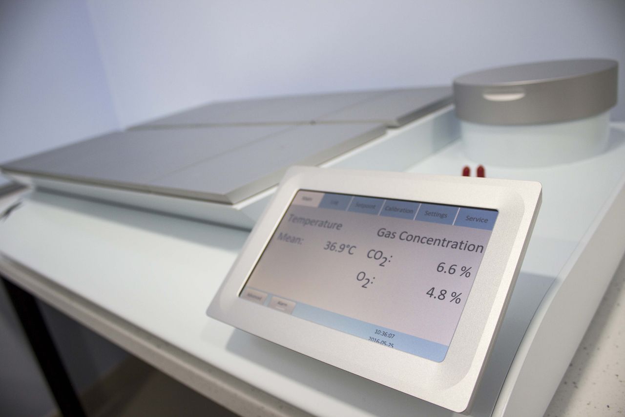 Jorge Alonso Zafra-7