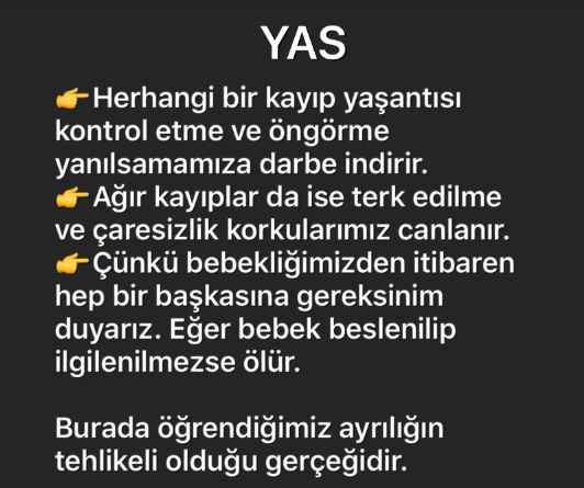 Günseli Yavaş Alpay-15