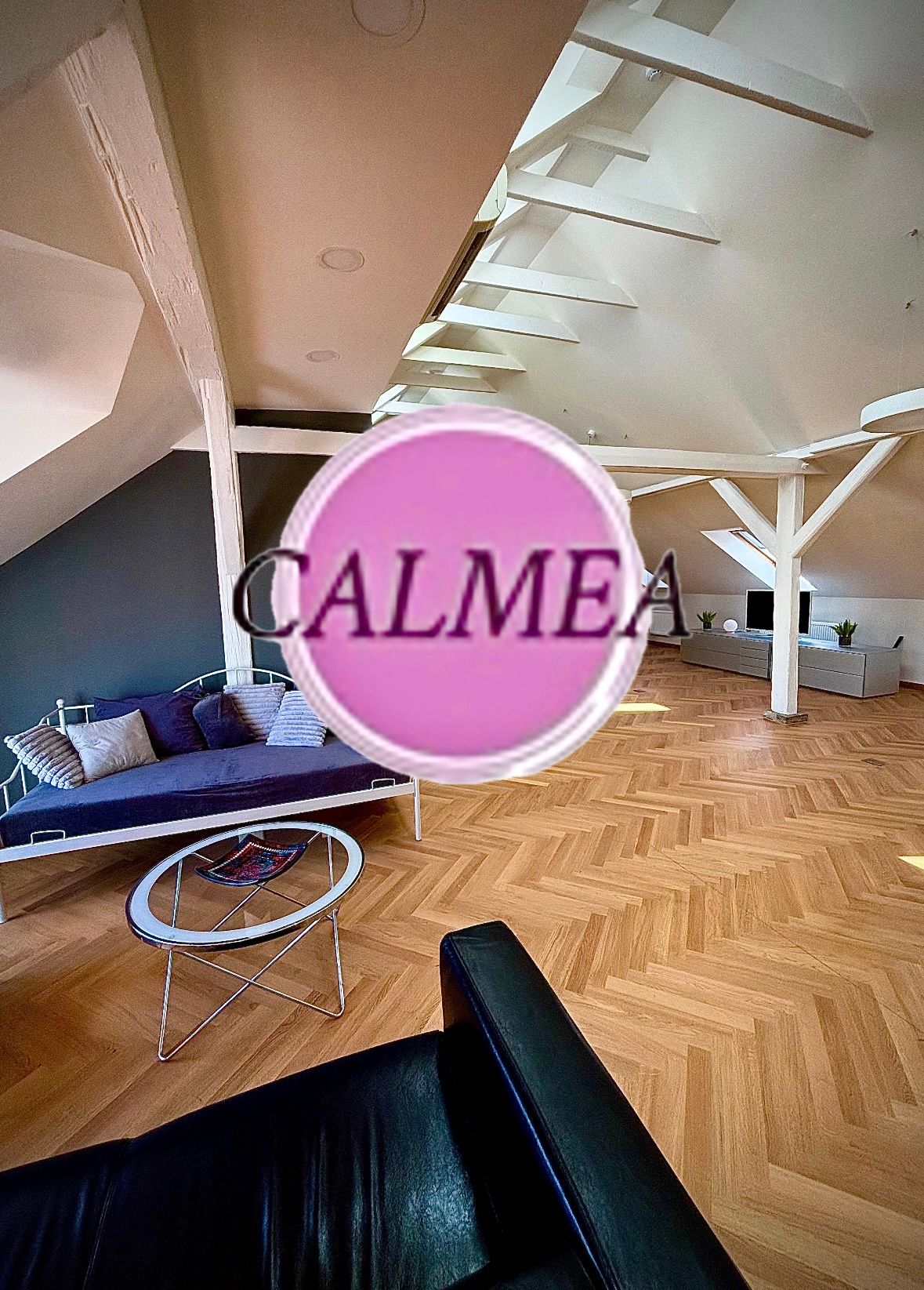 Kristýna Šorfová-5