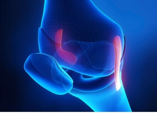 Gökhan Doruk Doğuç-1