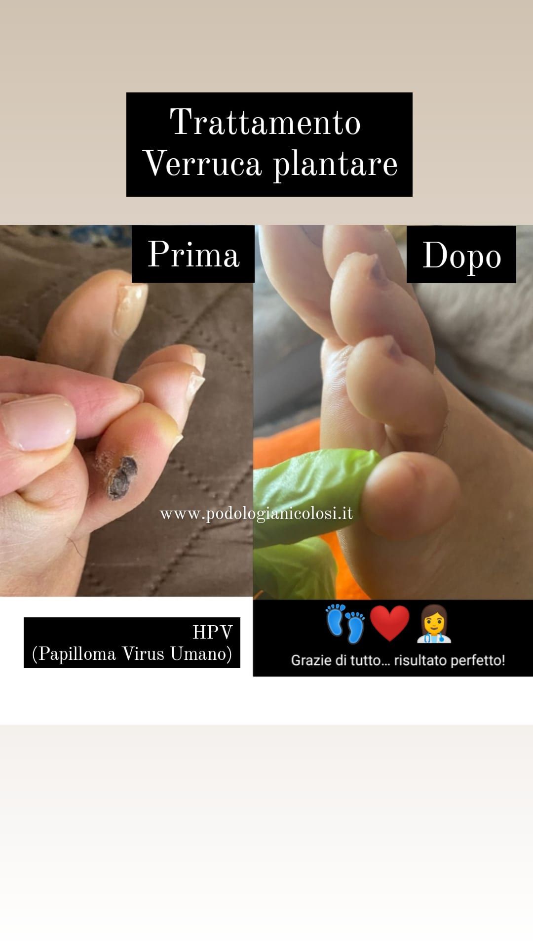 Kassandra Nicolosi-305