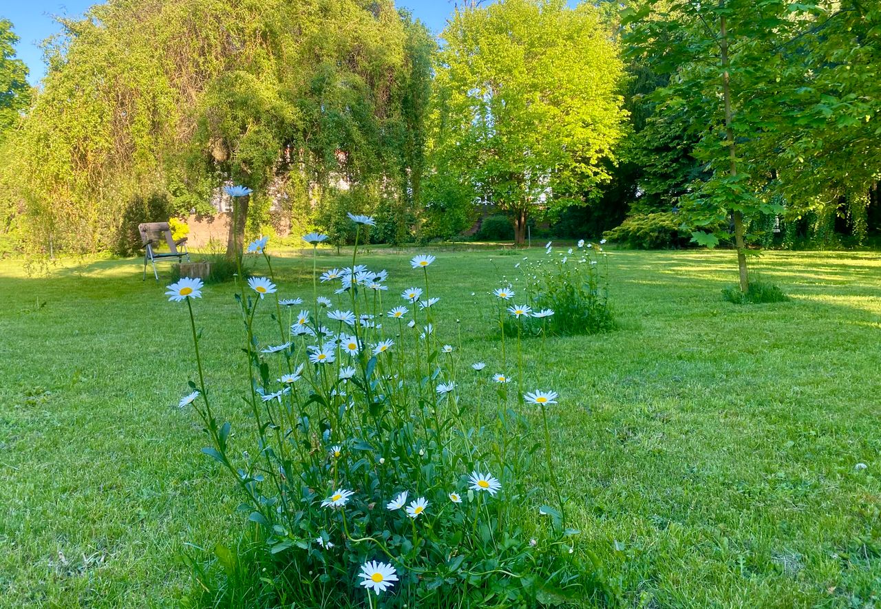 Magdalena Rakowska-Mikucka-2