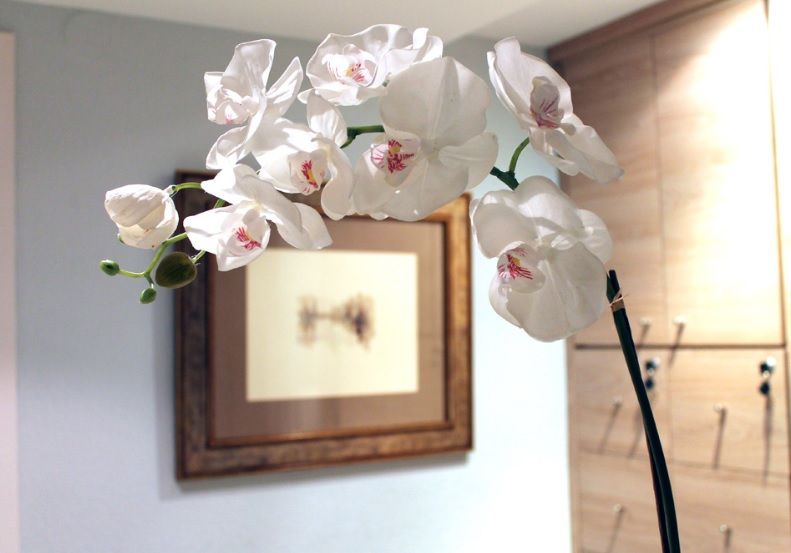 Mercedes Reyes García-3