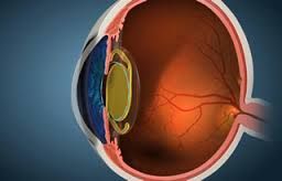 Lorenzo Grannonio-10