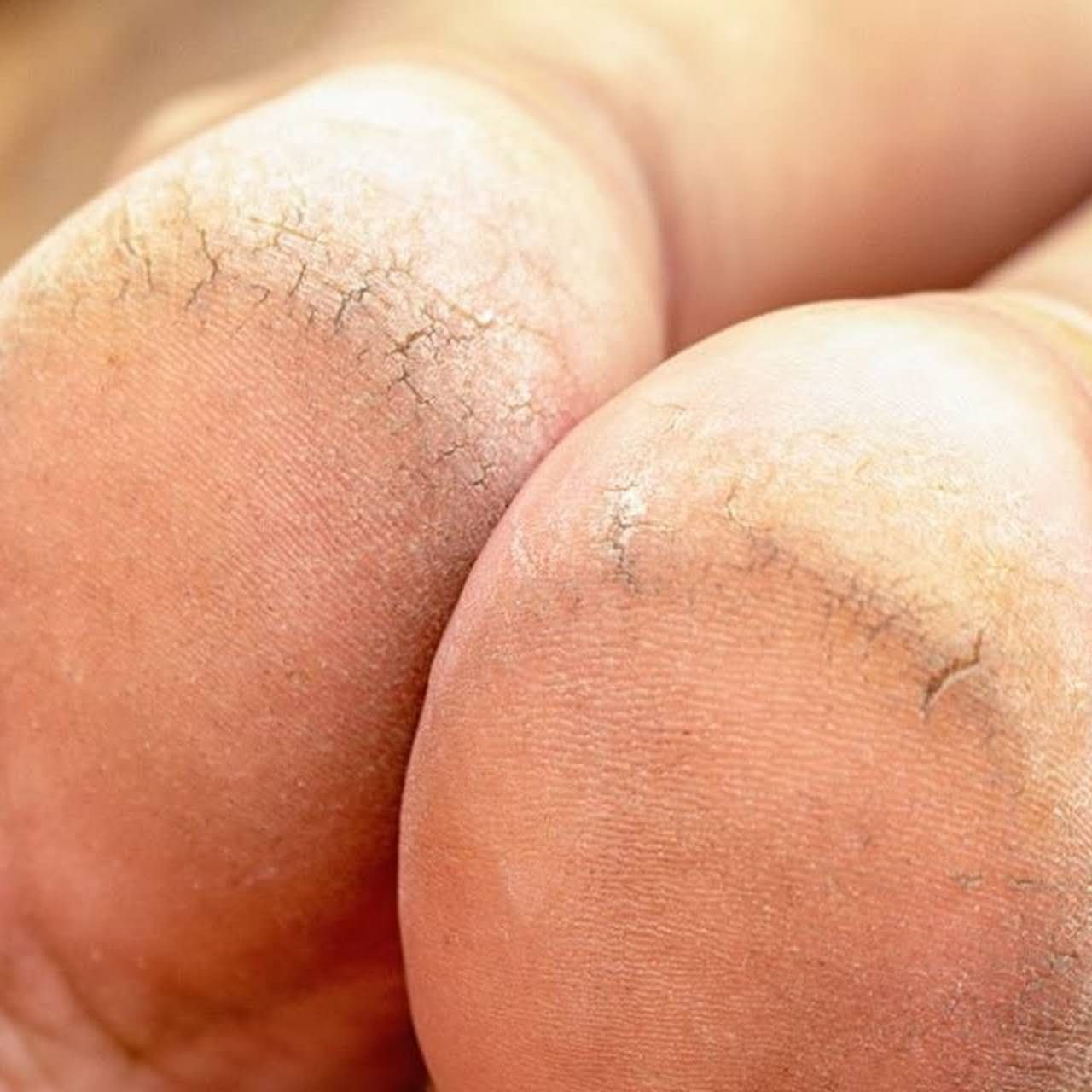 Salvatore Militano-1