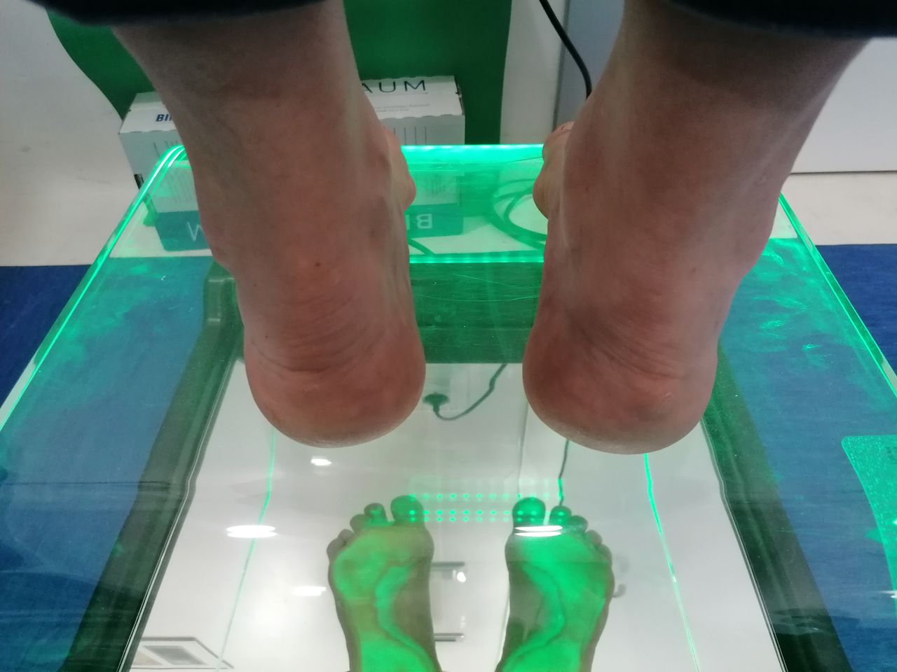 Kassandra Nicolosi-124