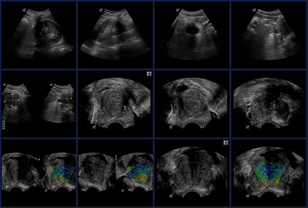 Andrzej Krzysztof Przybyła-9
