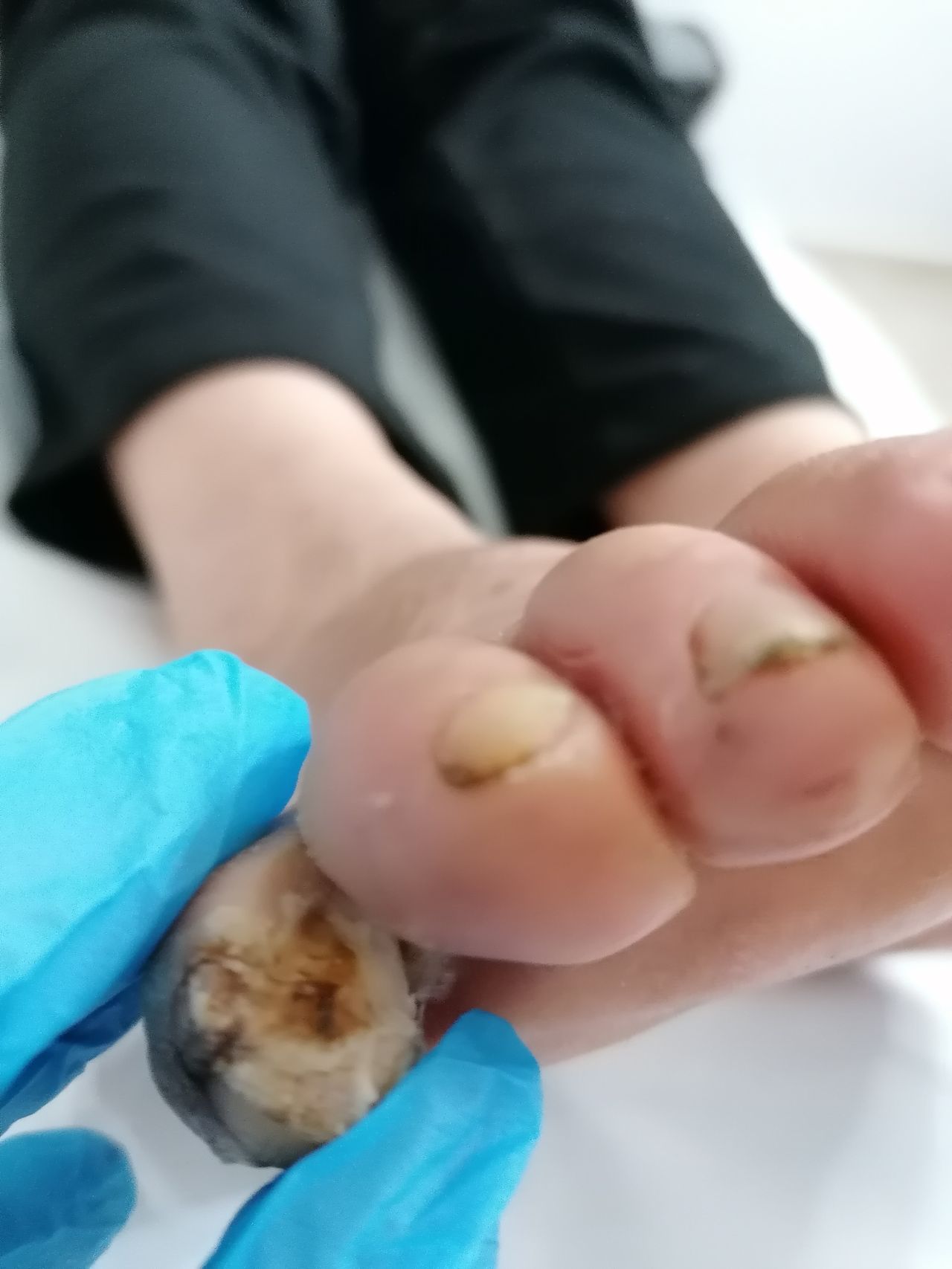 Kassandra Nicolosi-285