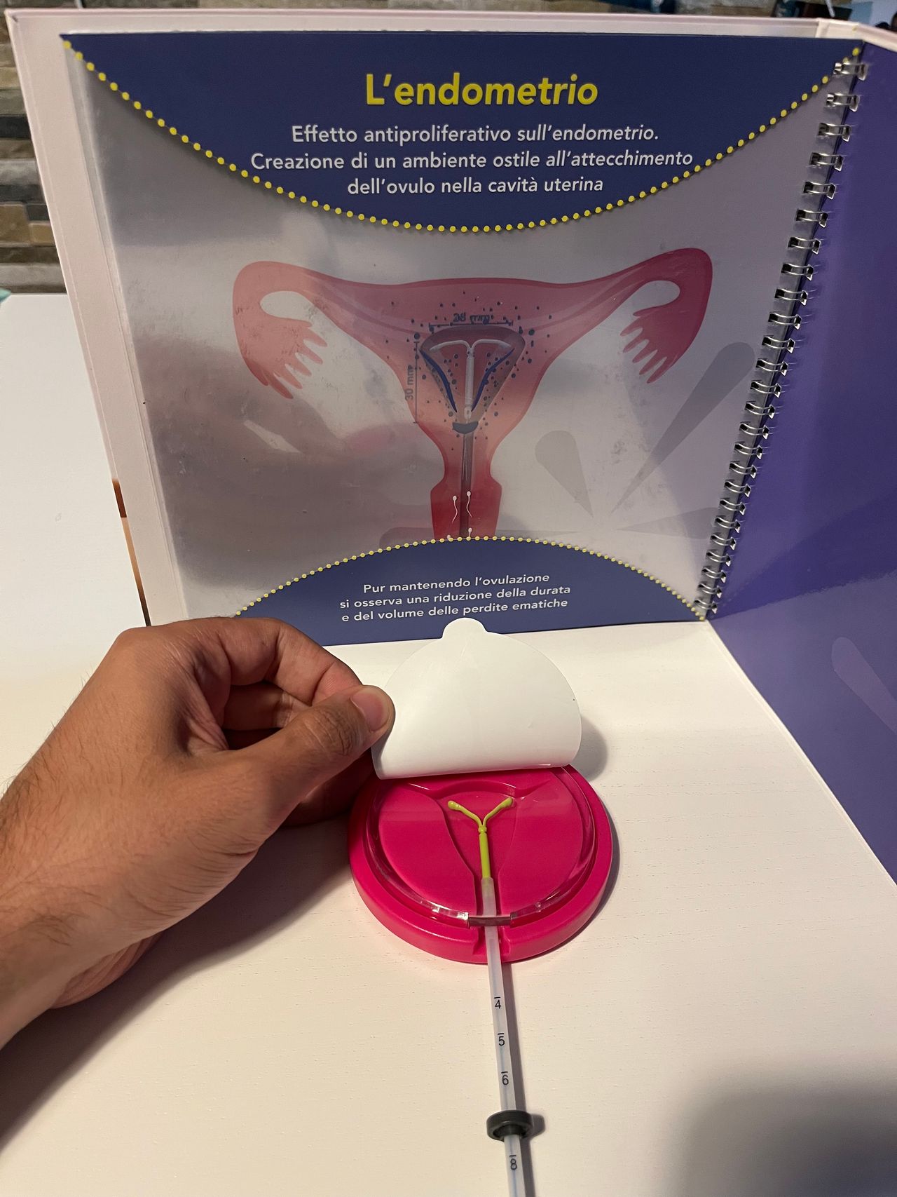 Cristian Macchione-1