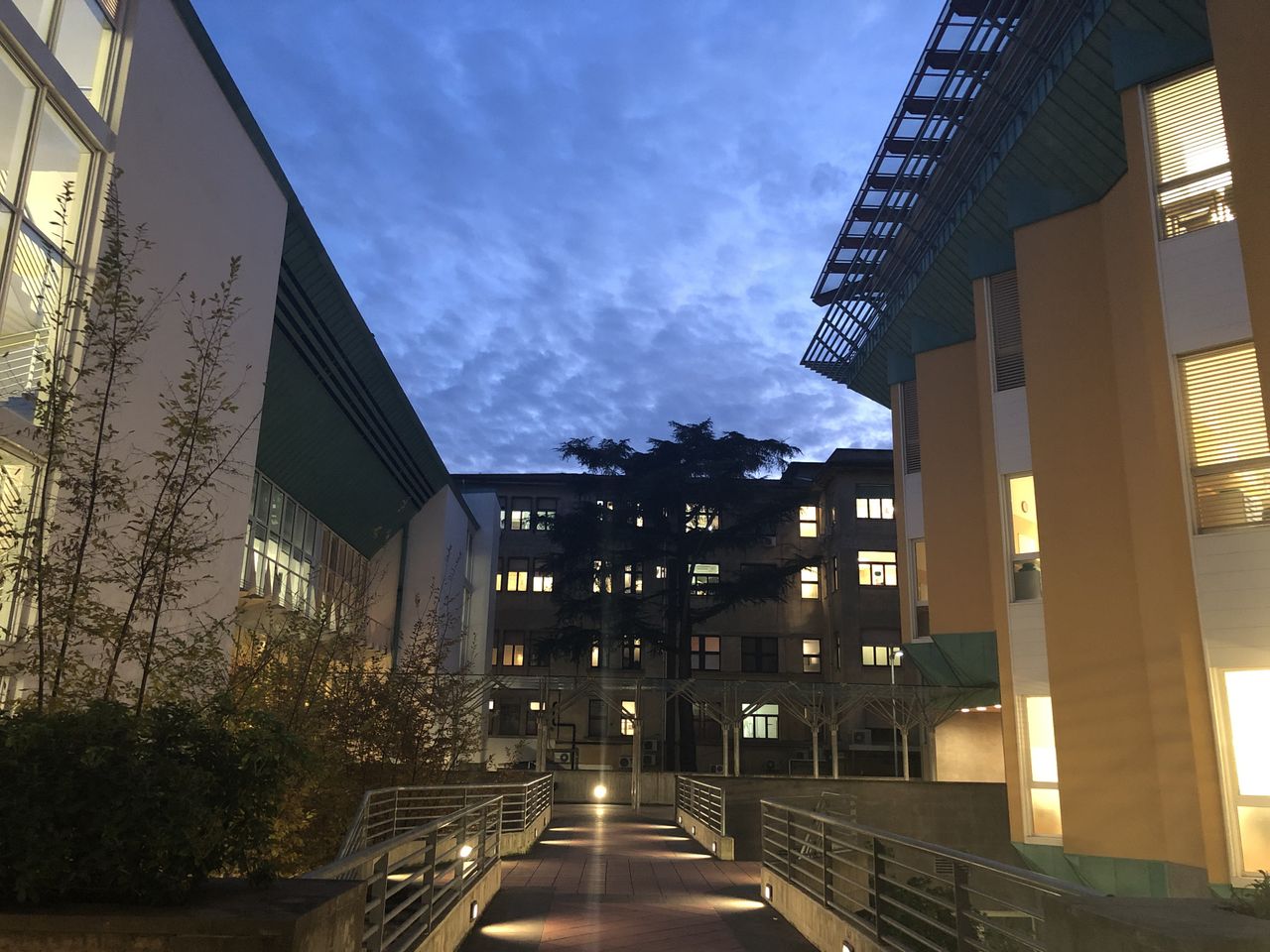 Annamaria Di Bella-1