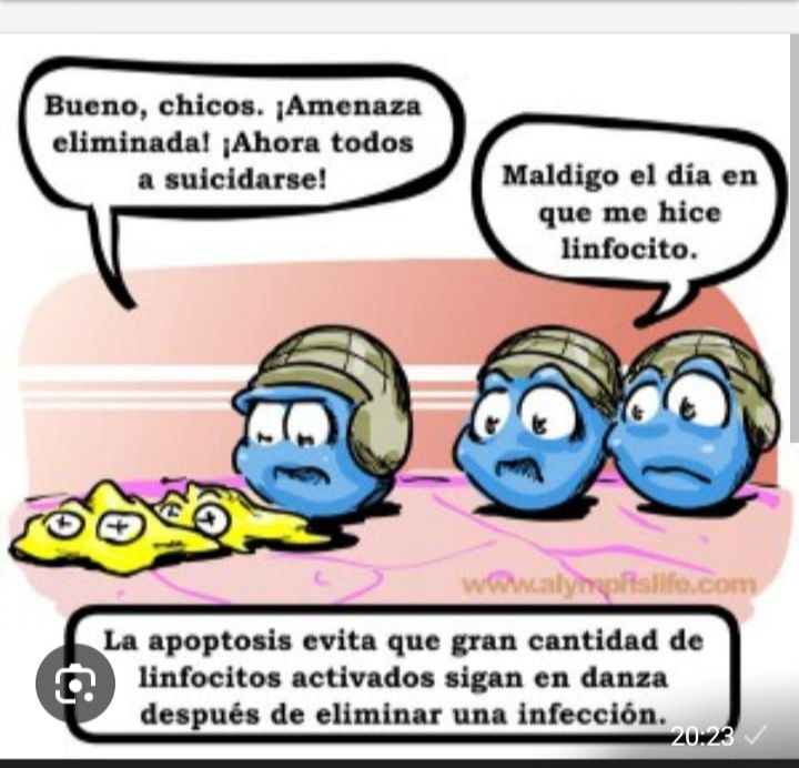 Nadia Abdel-Kader Martin-2