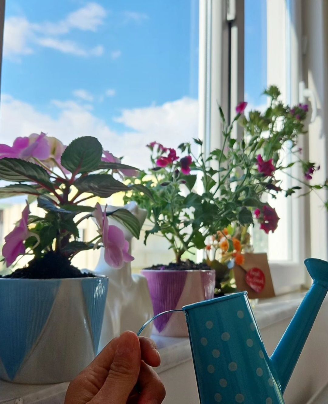 Zuhal Taşçıoğlu Kutlar-2