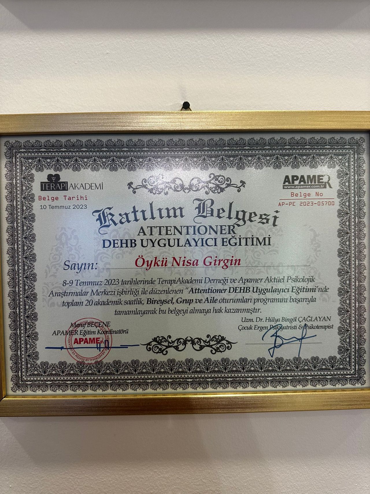 Öykü Nisa Girgin-14