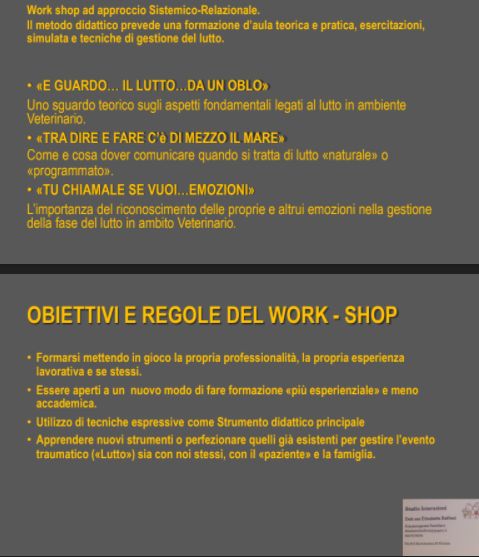 Elisabetta Baffoni-2