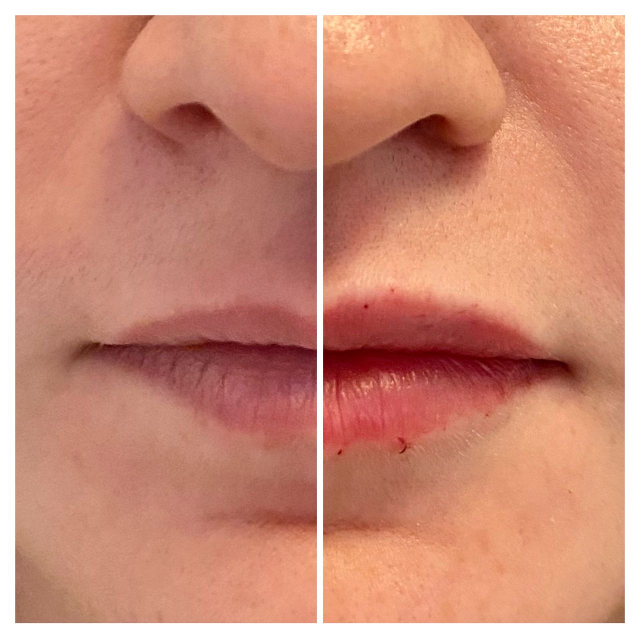 Elisabetta Fabiani-52