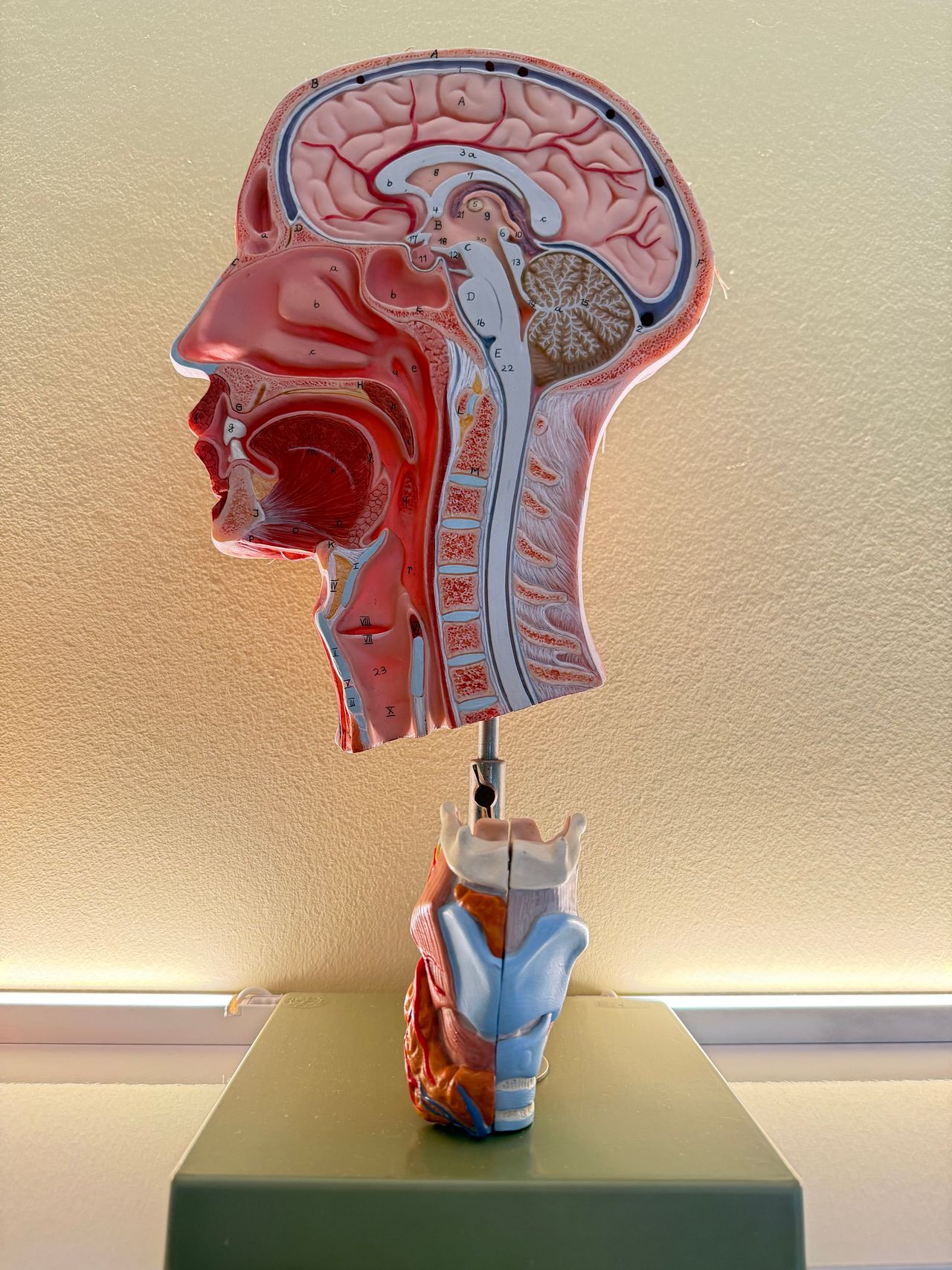 Jörn Finnern - Privatpraxis-7