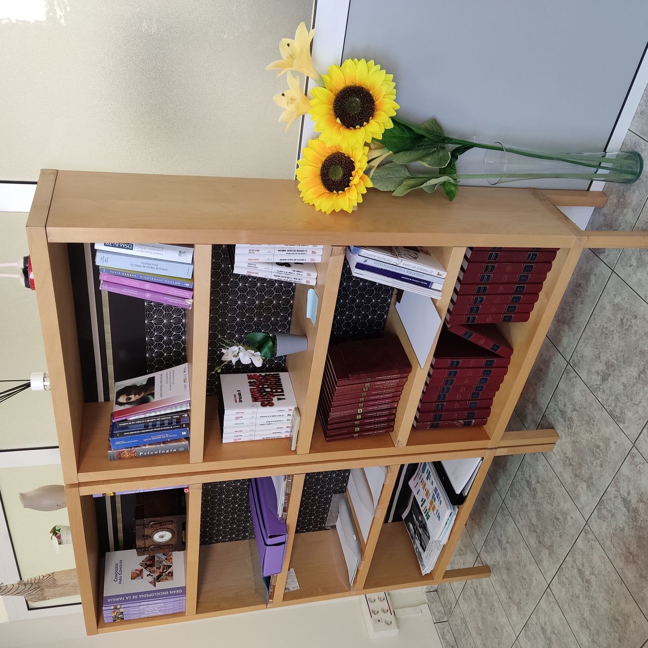 Elisa Torres Vizcaíno-2