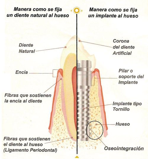 Ernesto Ruiz Chumilla-4