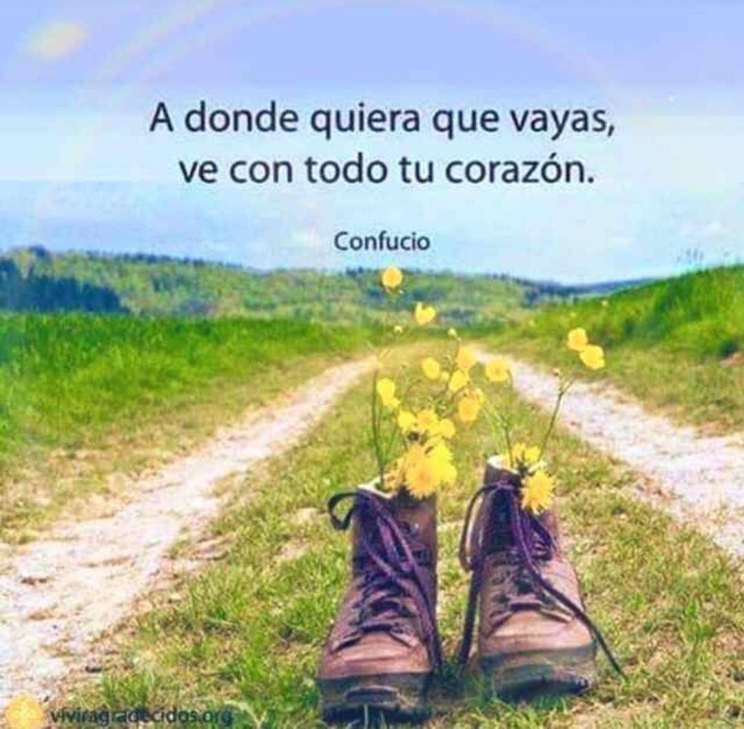 Nadia Abdel-Kader Martin-1