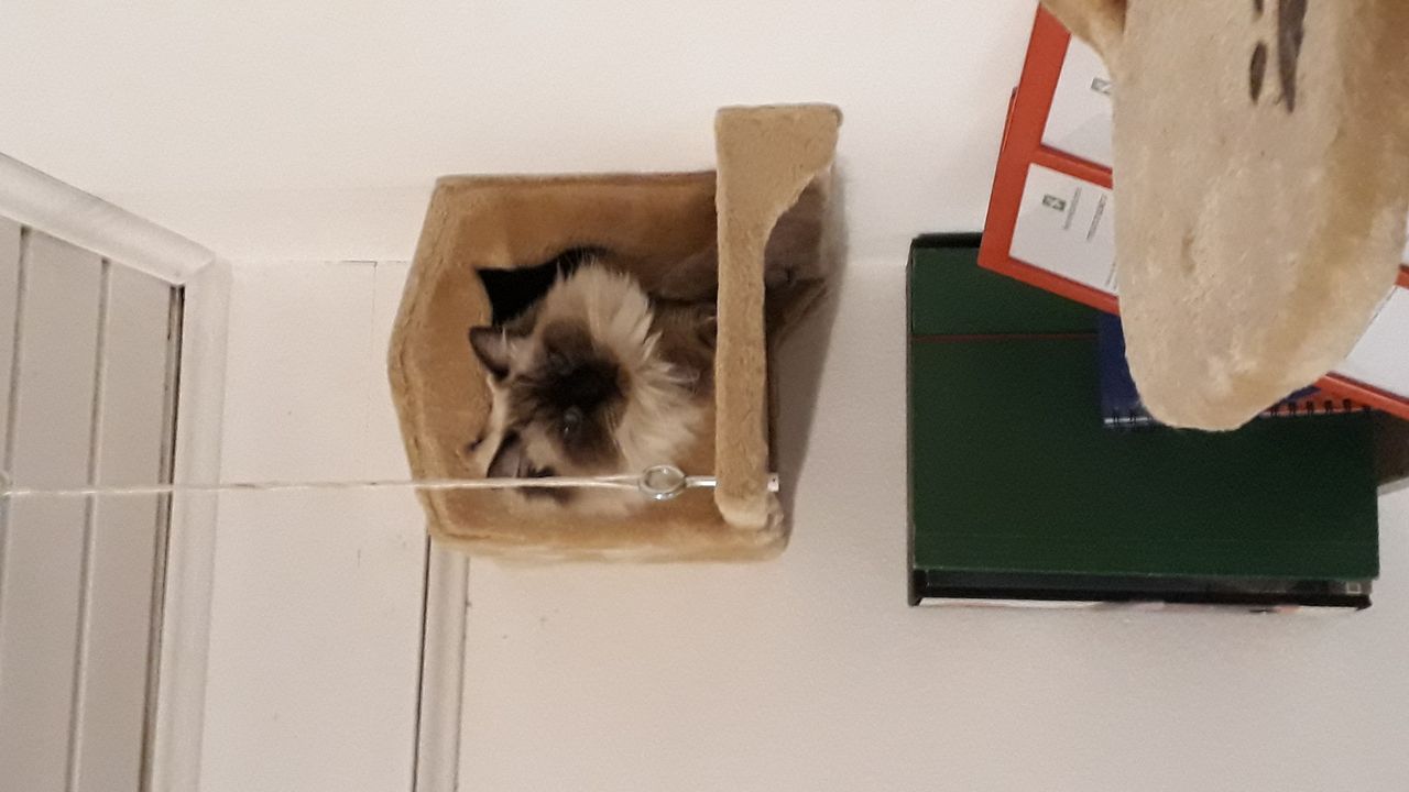 Sonia Sara Civallero-14