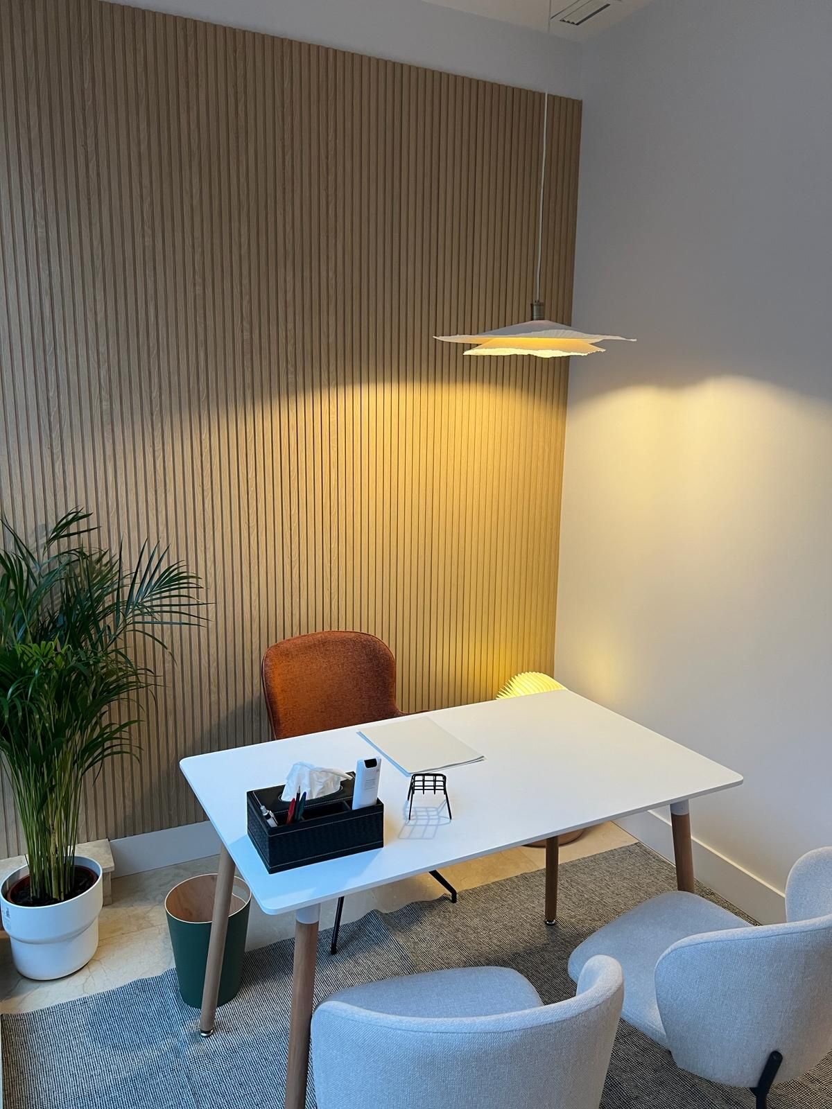 Pilar Arasanz Sebastián-1